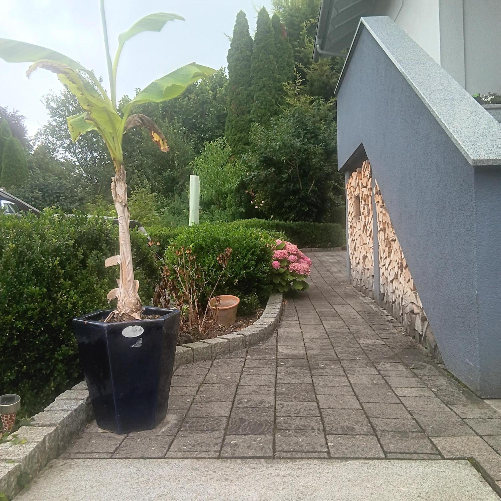 Apartment Weingut Juergen - Lutz Angelbachtal